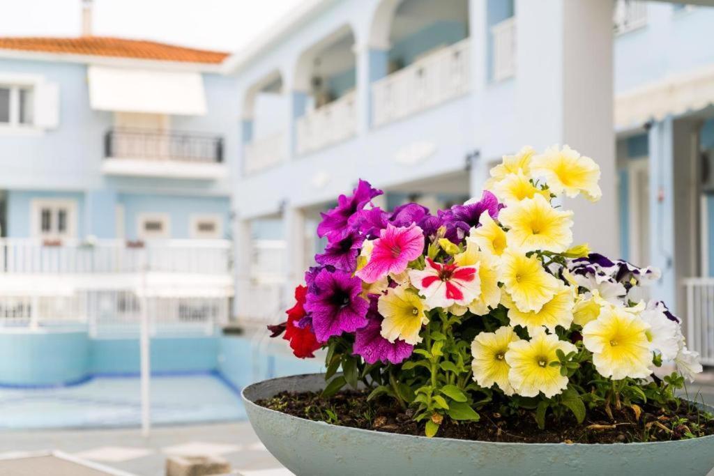 Anna'S Studios & Apartments Città di Zante Esterno foto