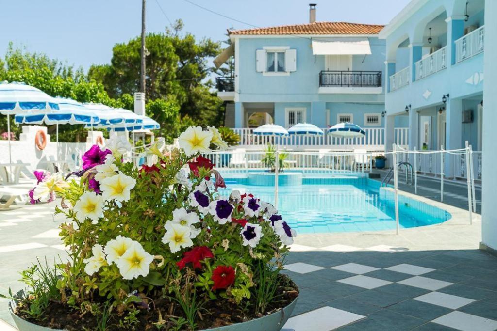 Anna'S Studios & Apartments Città di Zante Esterno foto