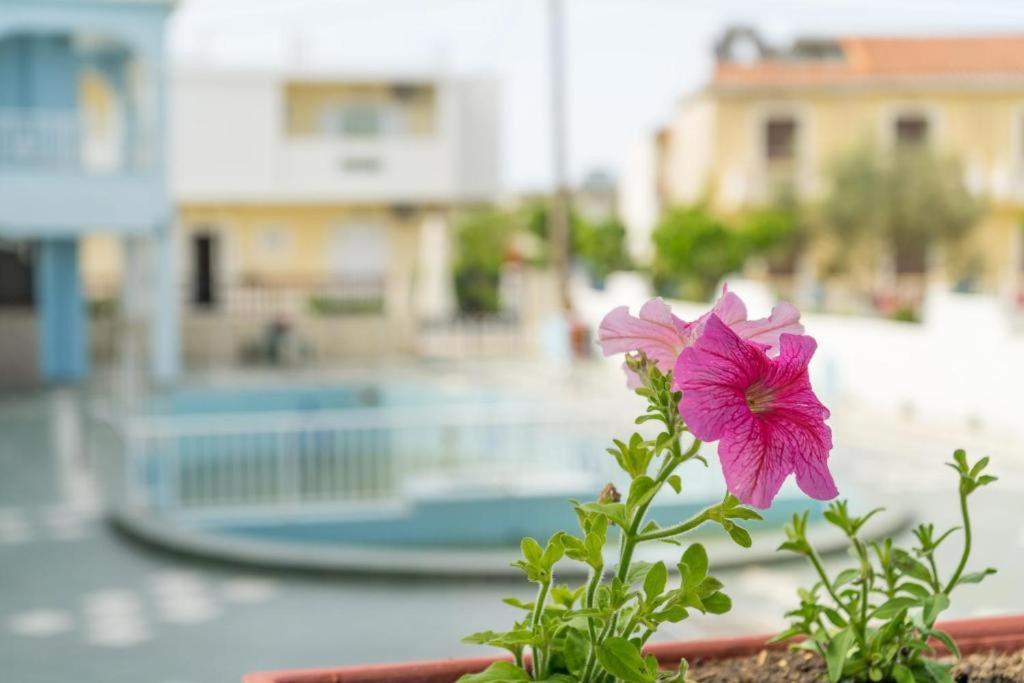 Anna'S Studios & Apartments Città di Zante Esterno foto